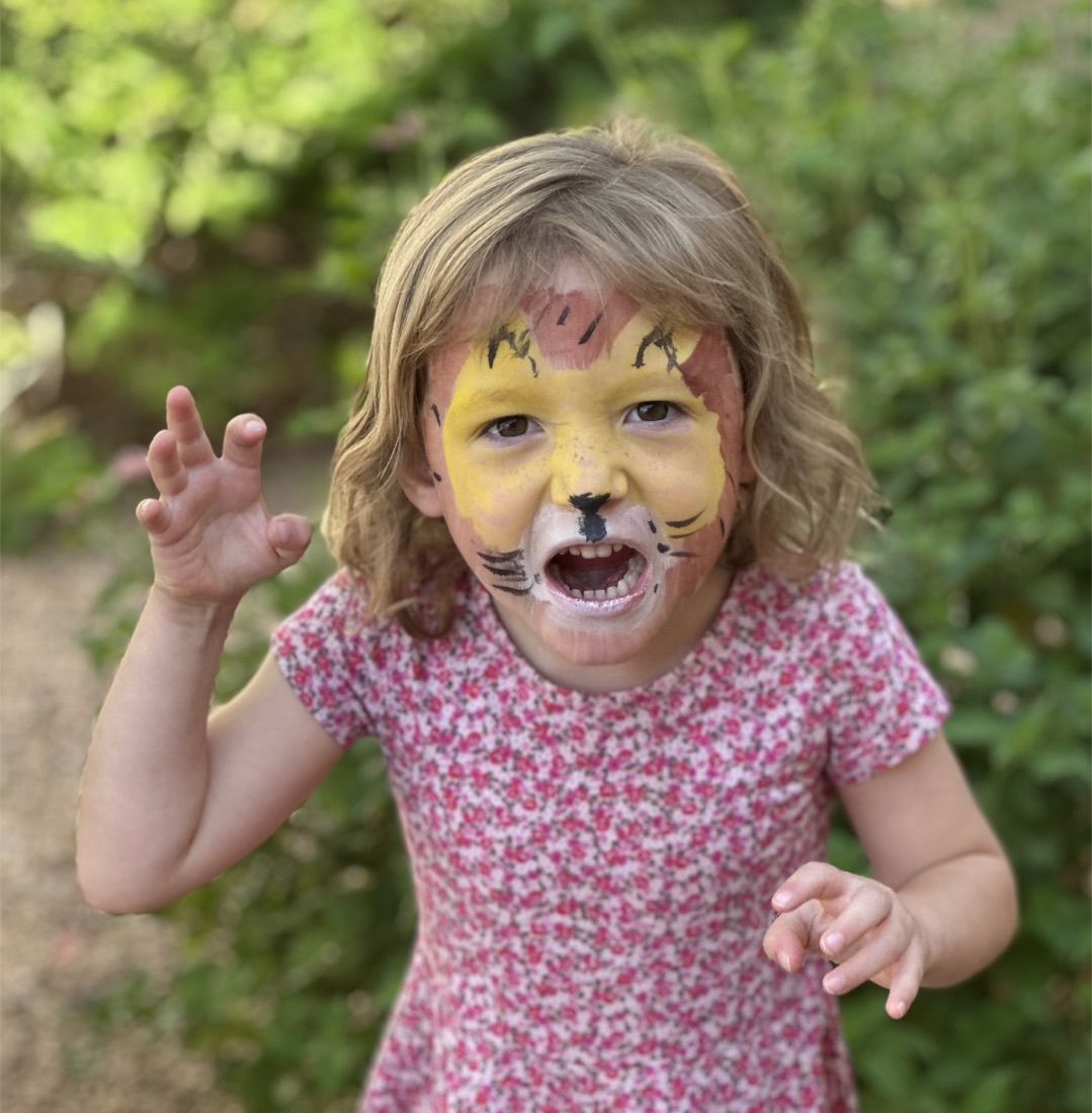 Lion face paint design