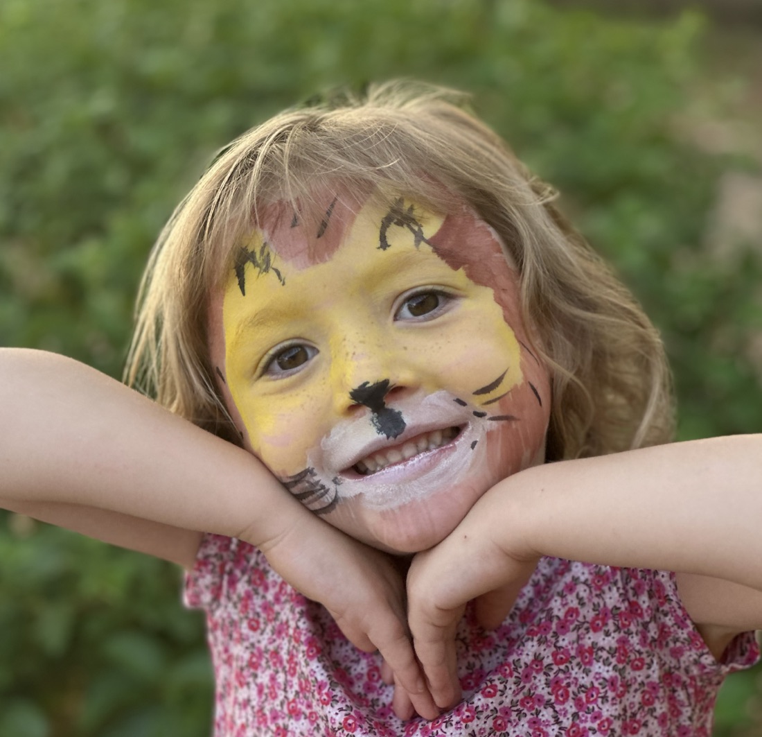 Lion face paint design